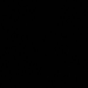 Meet your Posher, Tyree